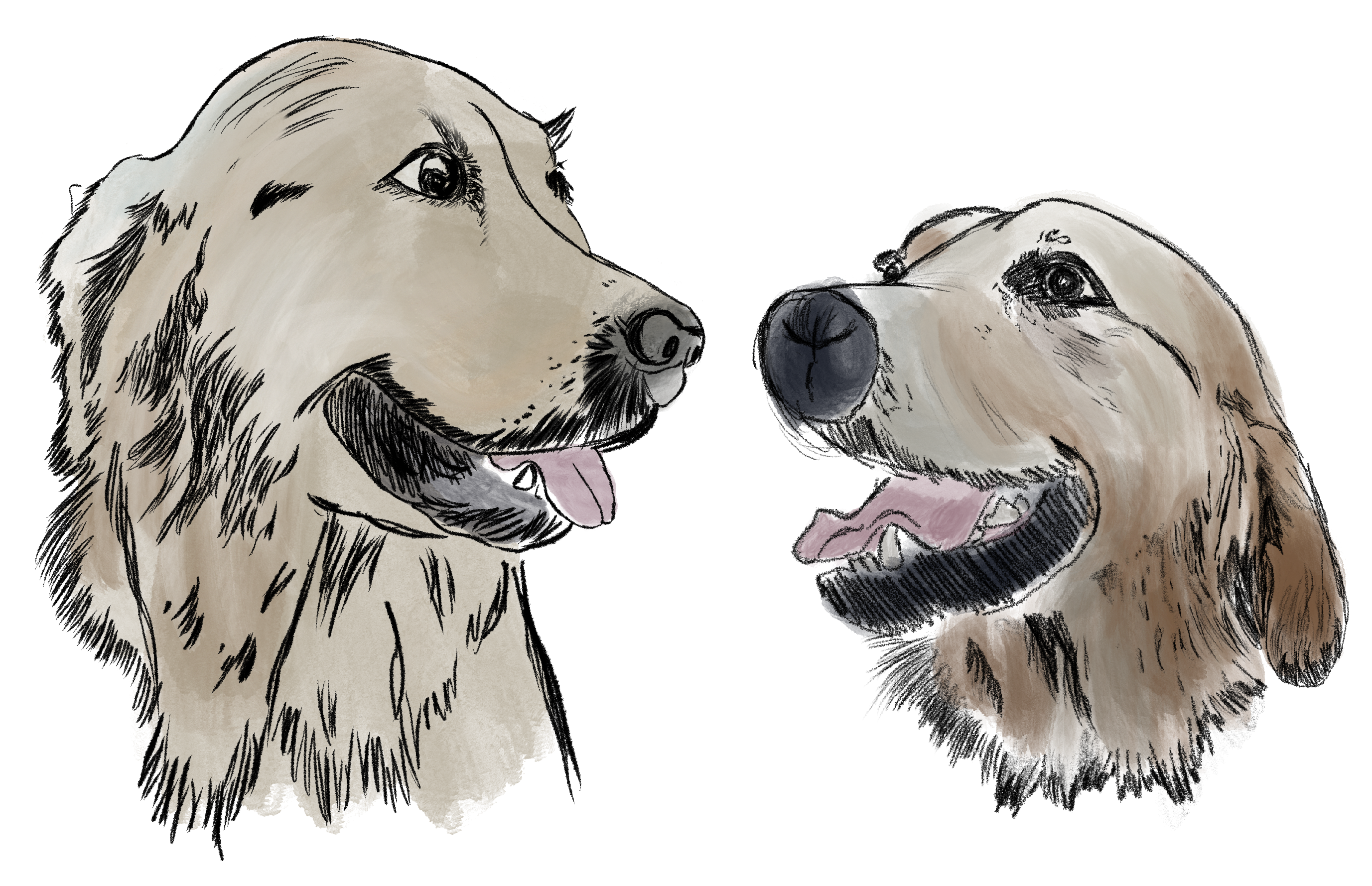 Honey et Molly